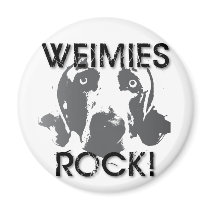 Weiaraner Nation : Weimies ROCK! Fridge Magnet