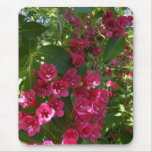 Weigela flowers ~ mousepad