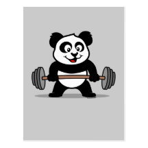 Weightlifting Panda Post Cards