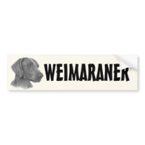 Weimaraner
