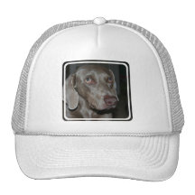 Weimaraner Dog Baseball Hat
