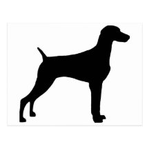 Weimaraner Dog (in black) Post Card
