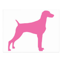 Weimaraner Dog (in pink) Post Card