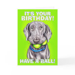 Weimaraner Have a Ball cards