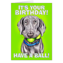 Weimaraner Have a Ball Greeting Cards