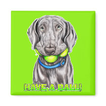 Weimaraner Have a Ball