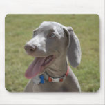 Weimaraner Mouse Pad