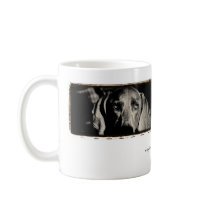 Weimaraner Nation : "A Thoughtful Stare" Mug