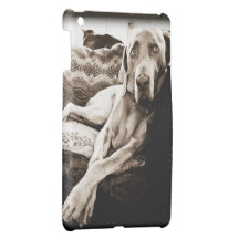 Weimaraner Nation © : "Ballou's Chair"