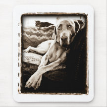Weimaraner Nation : "Ballou's Chair" Mouse Mat