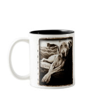 Weimaraner Nation : Ballou's Chair Mug