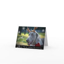 Weimaraner Nation: "Not a creature was stirring... Card