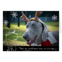 Weimaraner Nation :"Not A Creature was Stirring.." Greeting Card