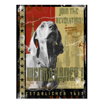 Weimaraner Nation : Vintage Weimaraner! Post Card