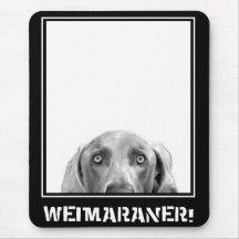 Weimaraner Nation : Weimaraner In A Box! Mouse Pads