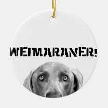 Weimaraner Nation : Weimaraner In A Box! Ornament