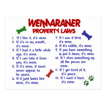 WEIMARANER Property Laws 2 Post Cards