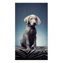 Weimaraner puppy business card template