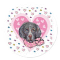 Weimaraner Valentine stickers