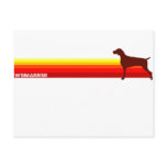 Weimaraner With Stripes Postcard
