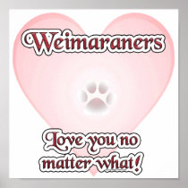 Weimaraners Love You No Matter What Poster