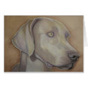 Weimeraner in Watercolour cards