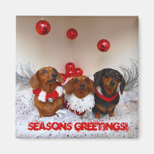 Weiner Dog Christmas, " Seasons Greetings!" Fridge Magnets