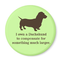 Weiner Dog, Dachshund.
