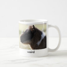 Weird Mug
