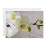Weiße Orchidee • Save the Date Karte invitations