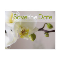 Weisse Orchidee • Save the Date Postkarte Post Cards