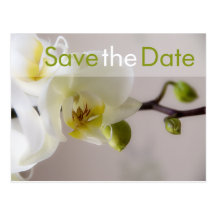 Weisse Orchidee • Save the Date Postkarte Post Cards