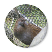 Weka Magnets