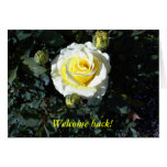 Welcome Back Card with Yellow Roses