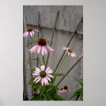 Welcome Flowers posters