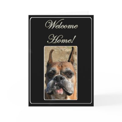 Welcome home boxer dog greeting card