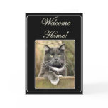Welcome home cat greeting card