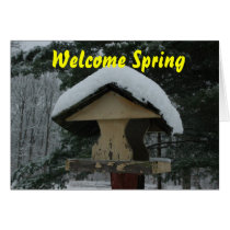 Welcome Sping Cards