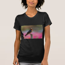 Welcome Swallow Shirts
