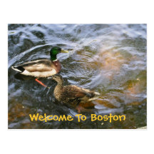 Welcome To Boston Postcard