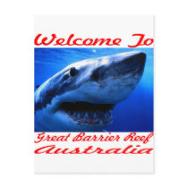 Welcome To The Great Barrier Reef Shark Post Cards