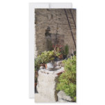 Well and Plants in Southern Italy Custom Rack Cards
