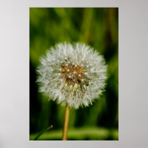 Well Blow Me Print