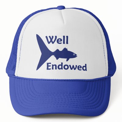 well endowed mesh hats by Cheesefactory