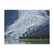 Wellesley Glacier in College Fjord Post Cards