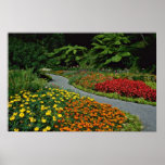 Wellington Botanical Gardens flowers Posters