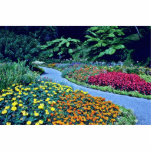 Wellington Botanical Gardens Acrylic Cut Out