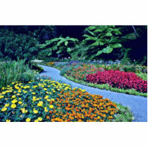 Wellington Botanical Gardens Acrylic Cut Out