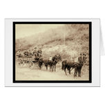 Wells Fargo Deadwood Treasure Wagon SD 1890 cards