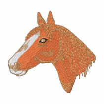 Welsh Cob